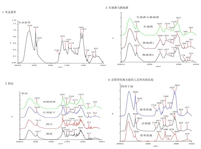 红外指纹图谱全程监控